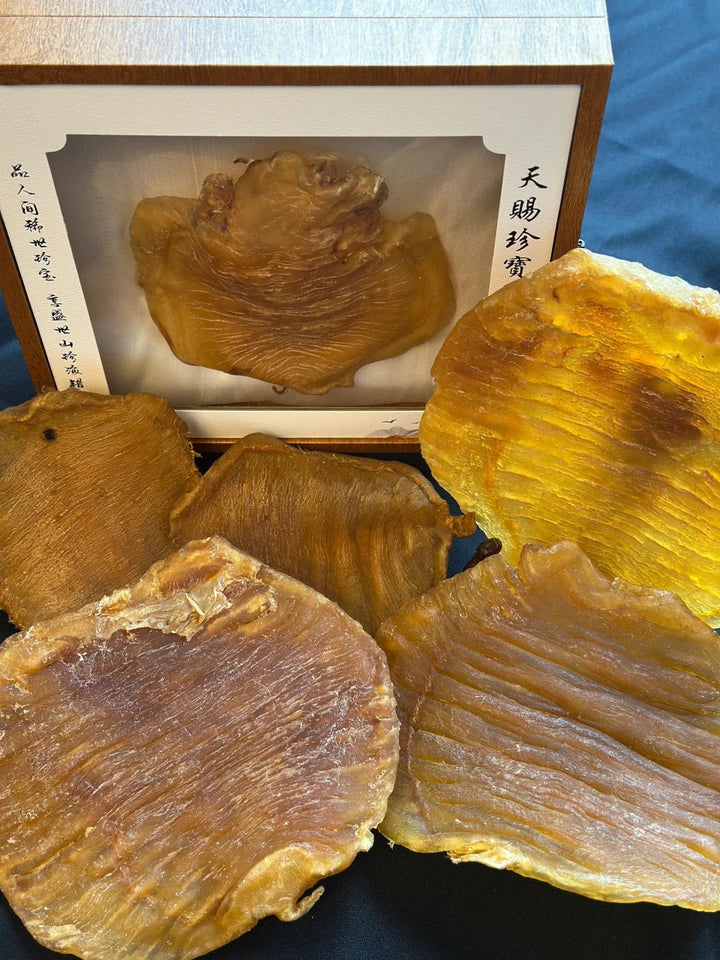 Aged fish maw