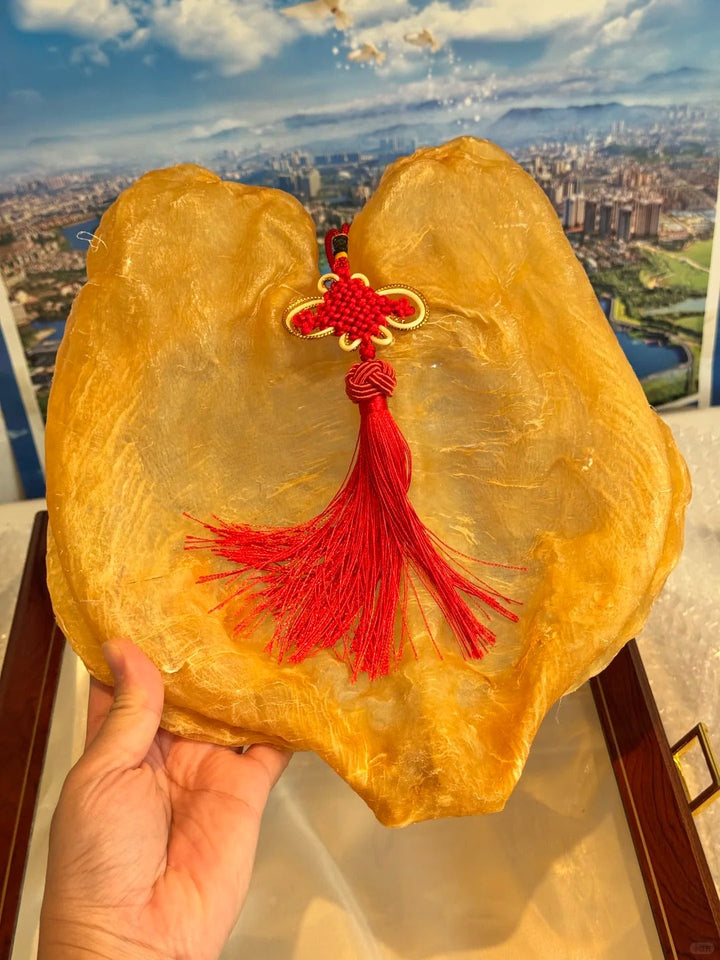 Extra Large Split Dried Fish Maw