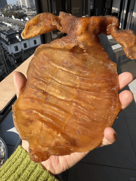 Anonymous Case Study: Large-Ear Fish Maw in Kowloon City