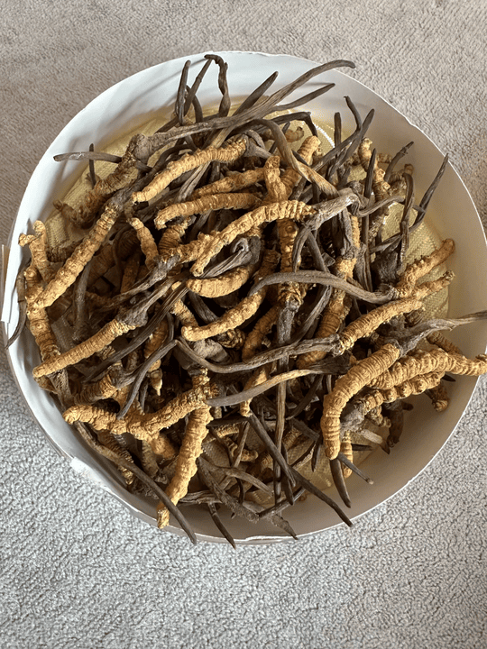 Anonymous Case Study: Bird's Nest and Cordyceps in Taikoo Shing