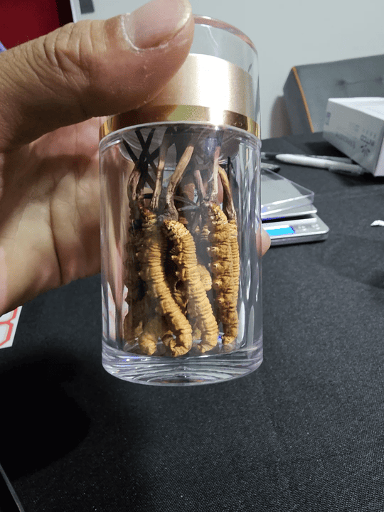 Anonymous Case Study: Cordyceps Gift Appraisal in Kowloon