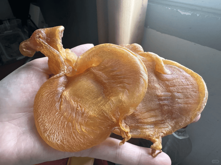 Anonymous Case Study: Aged Fish Maw Before a House Move