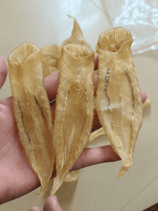 【金海晟回收實錄】移民清屋翻出珍藏花膠筒?上門即場驗貨現金交收全紀錄