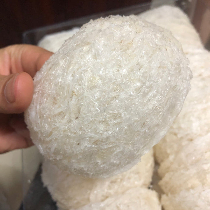 Dried Whole Bird's-Nest Cup