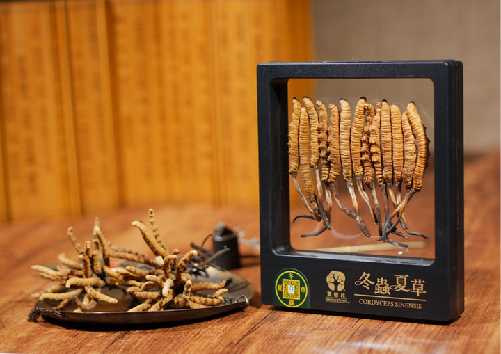 Cordyceps Buyback - Kam Hoi Shing
