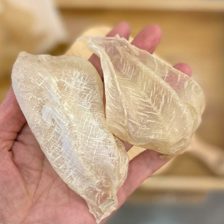 white fish maw
