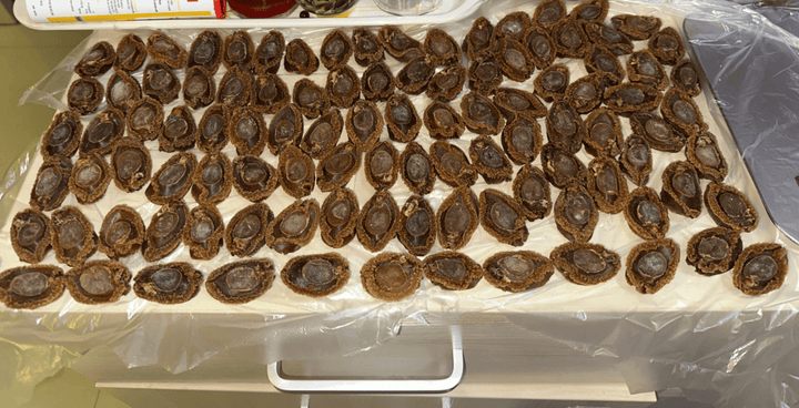 Abalone Buyback - Kam Hoi Shing