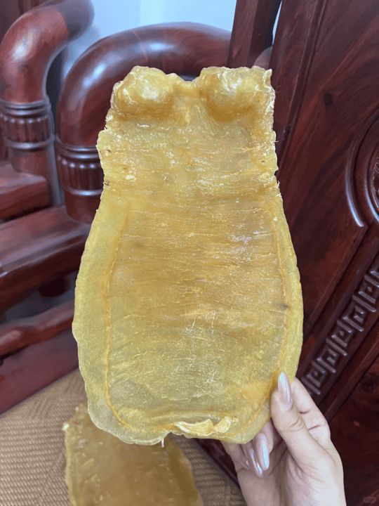 Mrs. Chan's Sha Tin Male Broad-Belly Fish Maw Case - Kam Hoi Shing Fish Maw Buyback