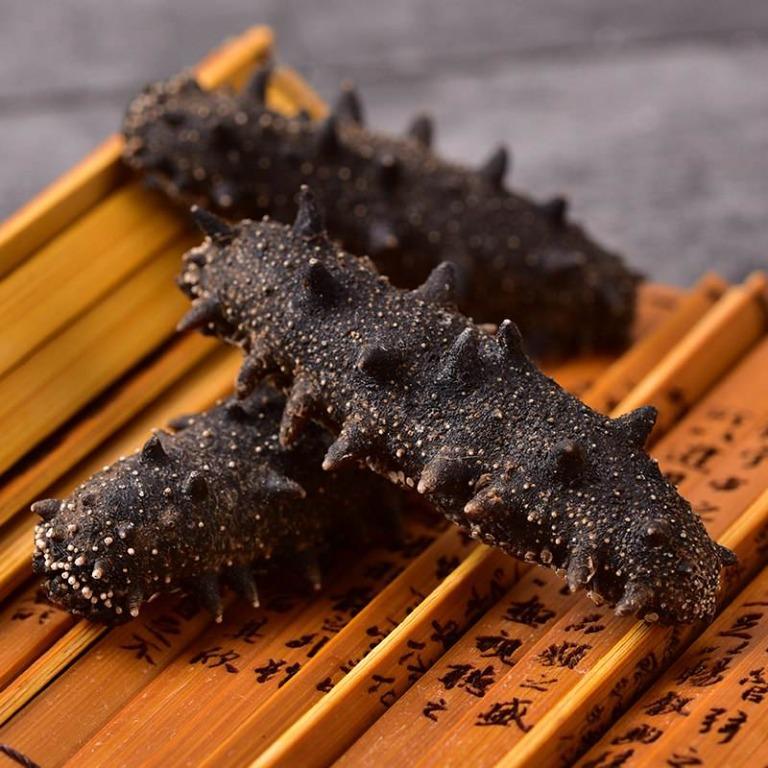 什麼是海參?