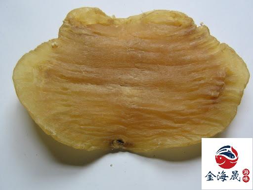 陳年北海公花膠 金黃橫紋身厚乾爽 金海晟回收實拍