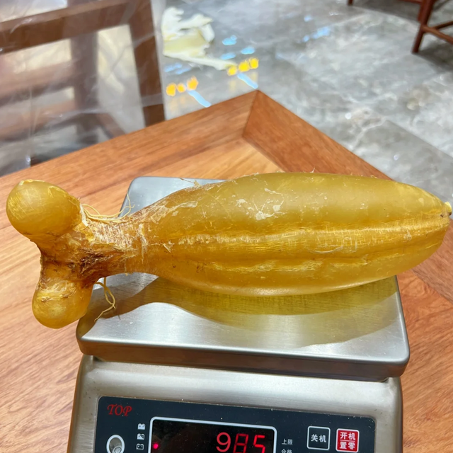 985克特大陳年蜘蛛膠公肚 深琥珀色澤厚實 金海晟稱重實拍