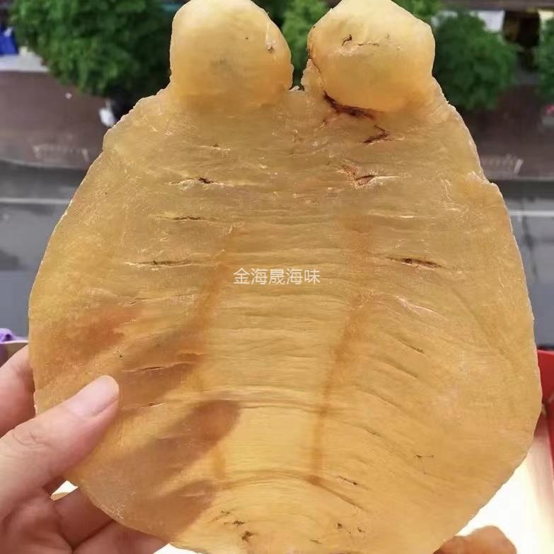 赤嘴鰵魚膠公肚 金黃色澤耳朵清晰 金海晟回收實拍