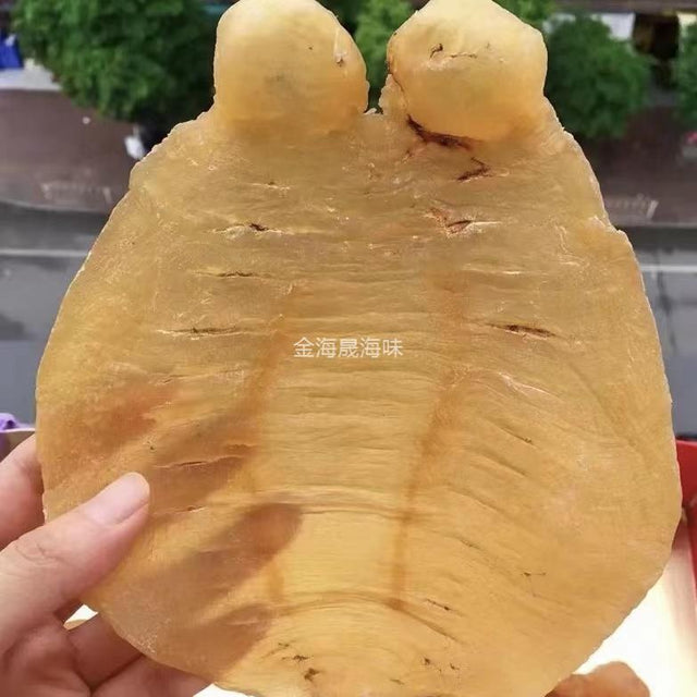 赤嘴鰵魚膠公肚 金黃色澤耳朵清晰 金海晟回收實拍