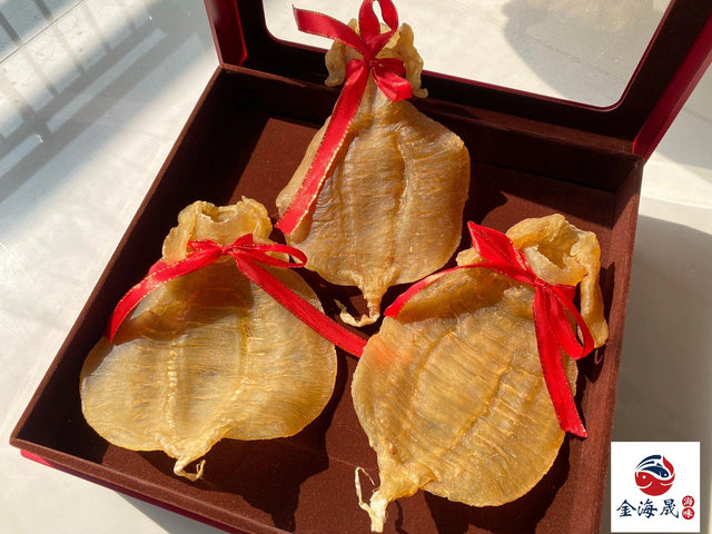 公花膠鰵魚膠 飽滿厚實琥珀金黃 金海晟回收實拍