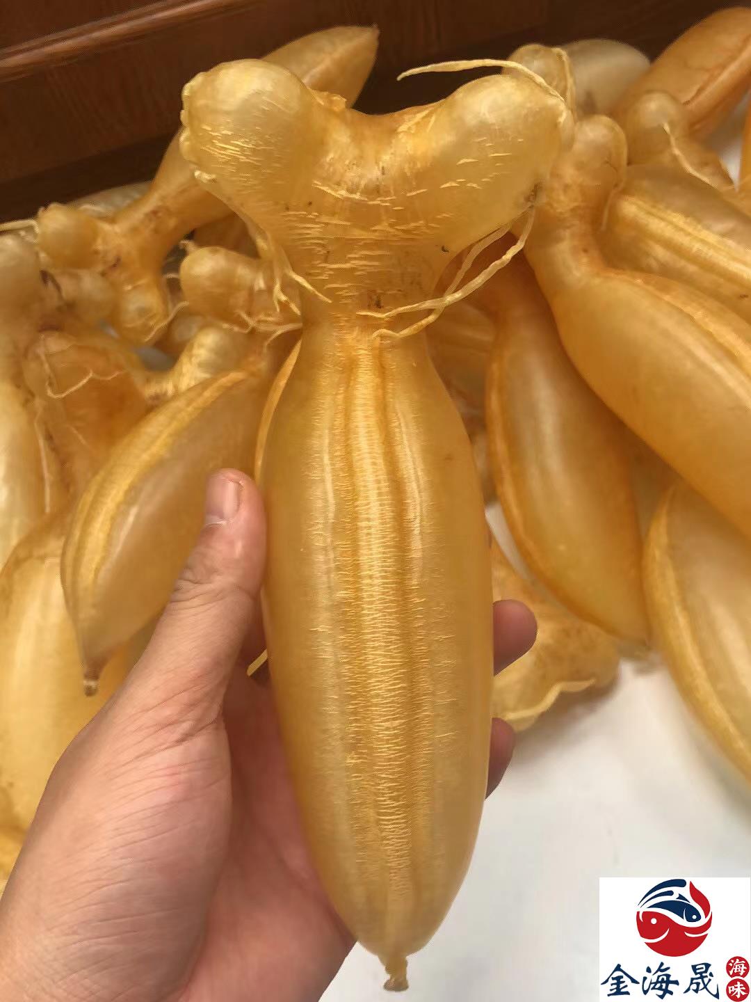 陳年赤嘴鰵紅嘴公肚 琥珀金黃法令紋清晰 金海晟回收實拍