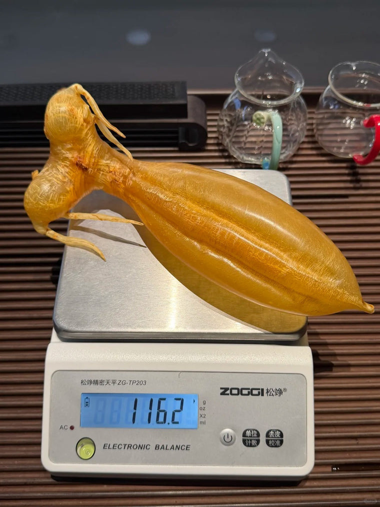 马来蜘蛛公
