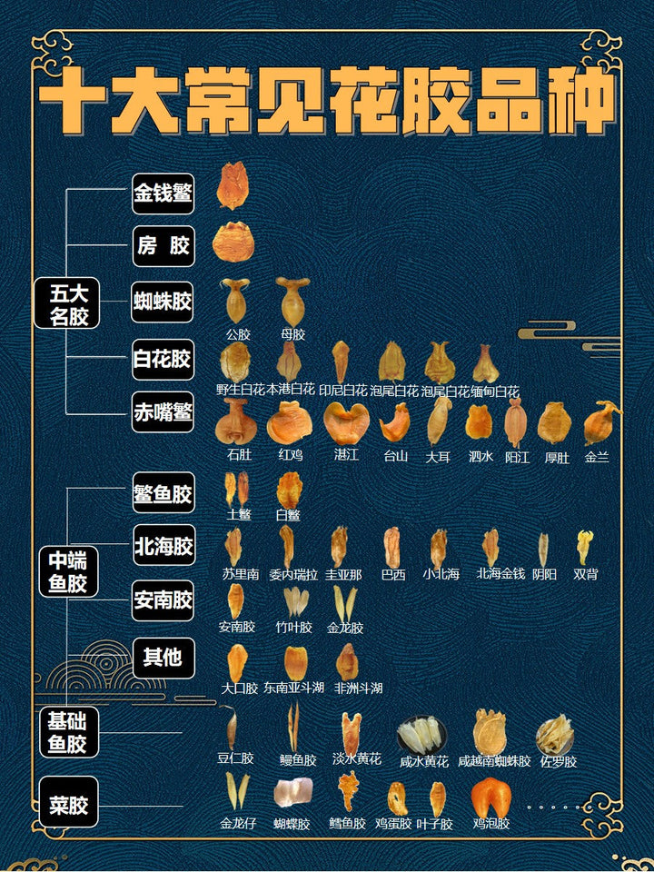 花膠回收 - 金海晟