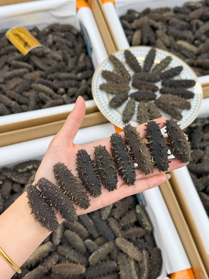 淡干大连辽参