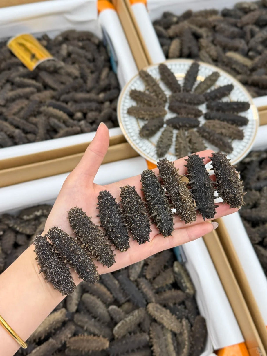 Traditional Light-Dried Liao Sea Cucumber: Craft and Appraisal