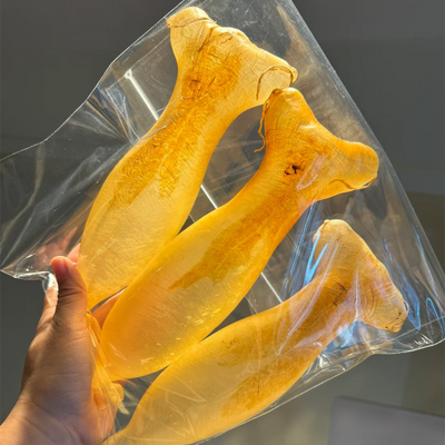 陳年為王！元朗區老花膠高價回收秘訣：為何舊膠比新膠更划算？