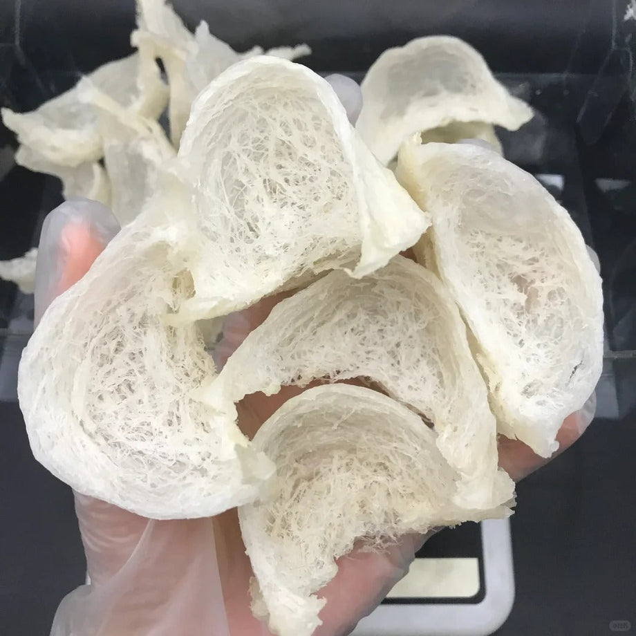 白燕盞「5A」「6A」分級係咩？尺寸評級同回收報價對照