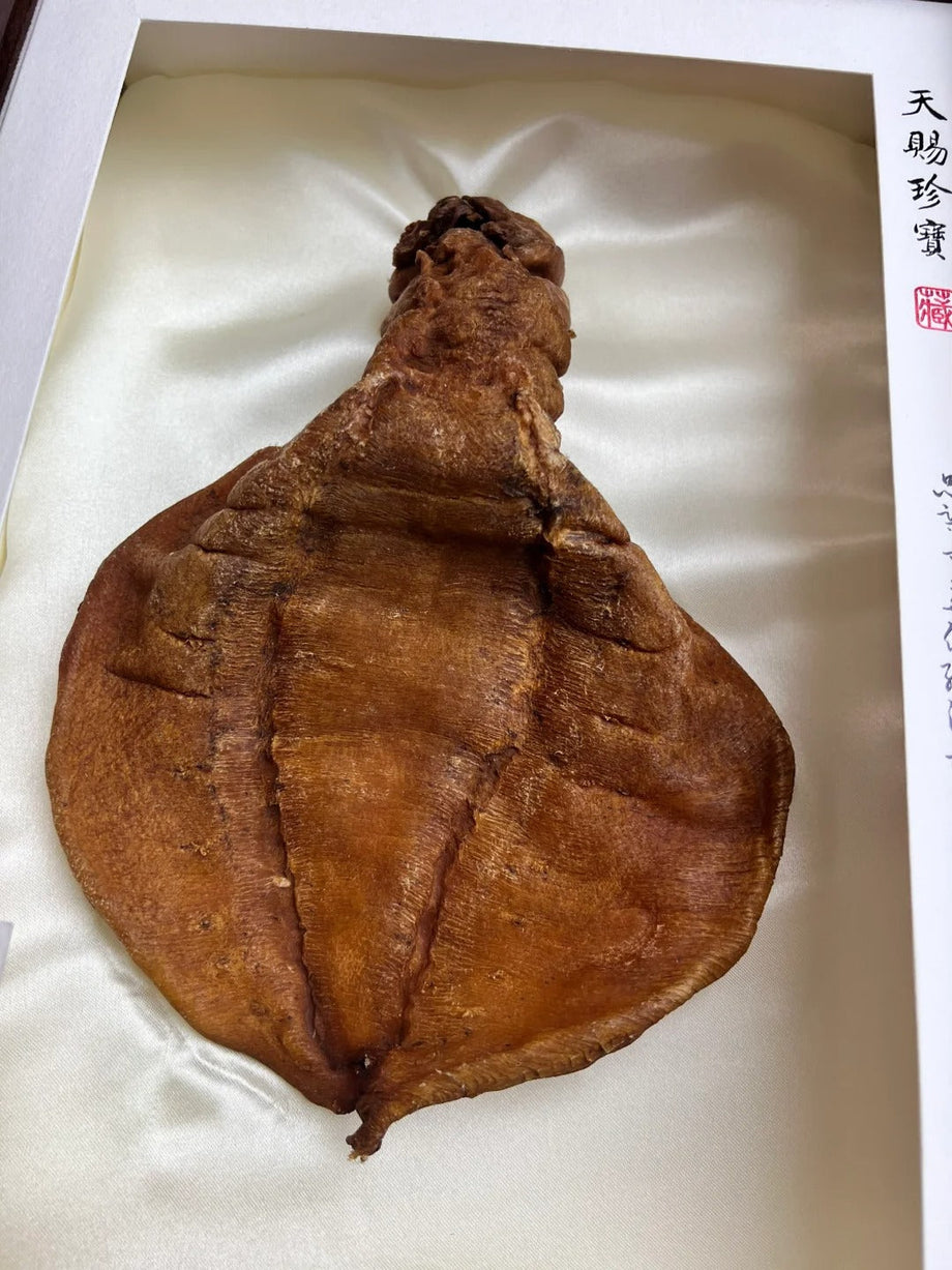 2026年香港海味回收市場深度分析：哪些老花膠最受藏家青睞？高價變現全攻略