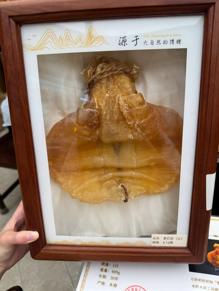 陈年花胶