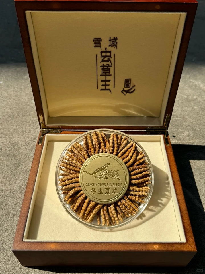 冬虫夏草