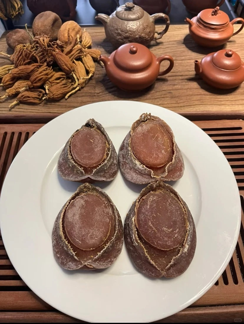 Middle Eastern abalone and Australian abalone