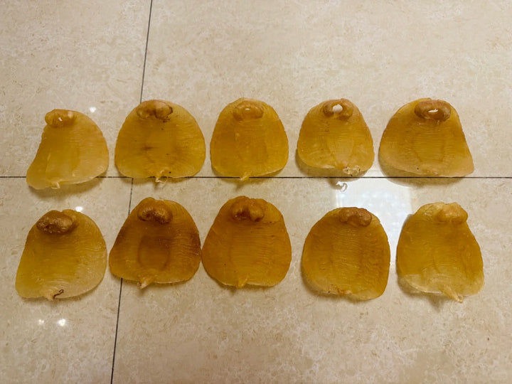 野生赤嘴母