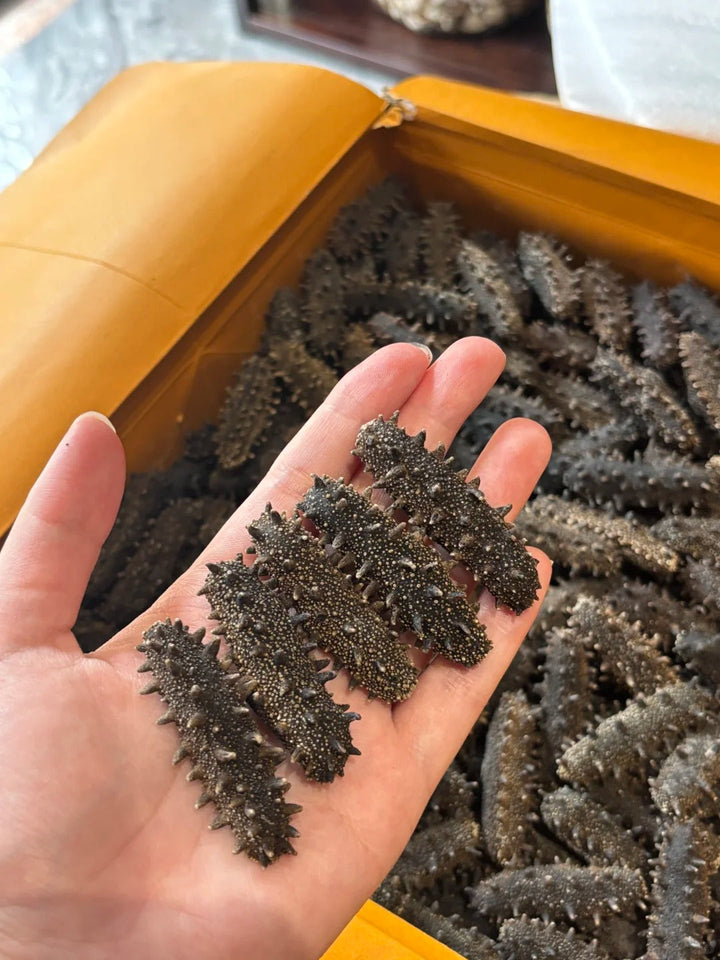 海參