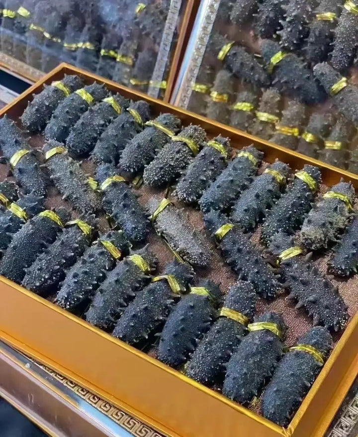 海参