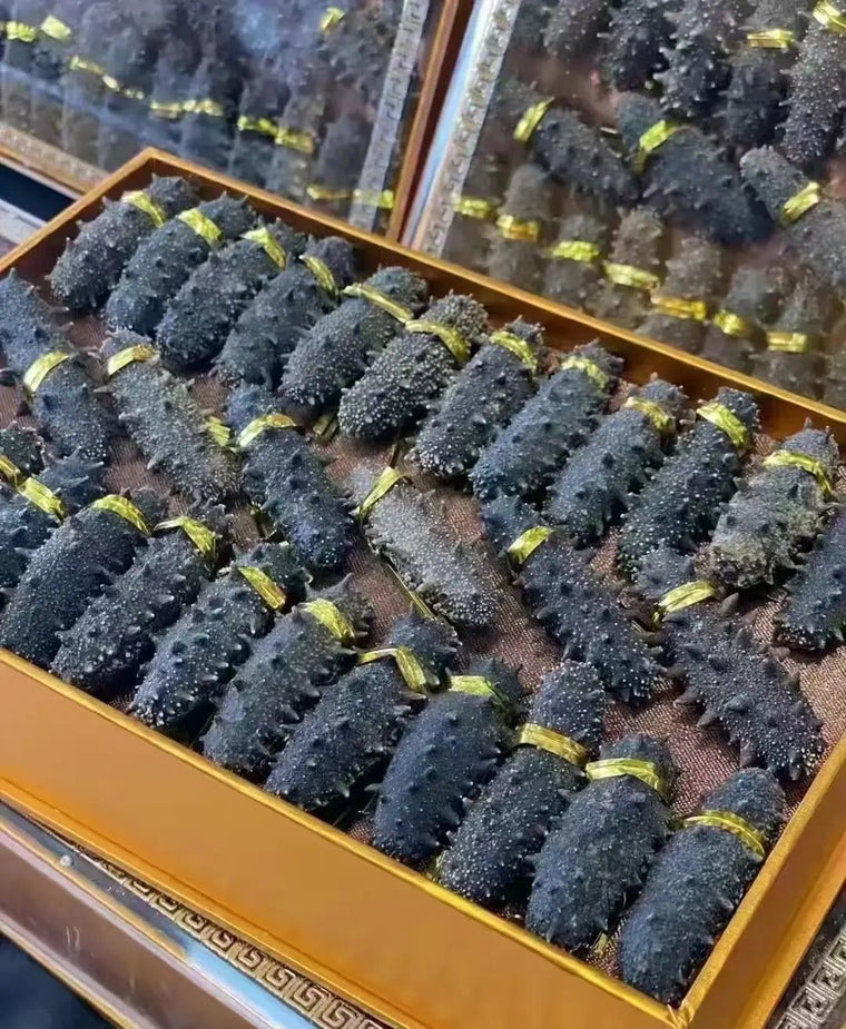 海参