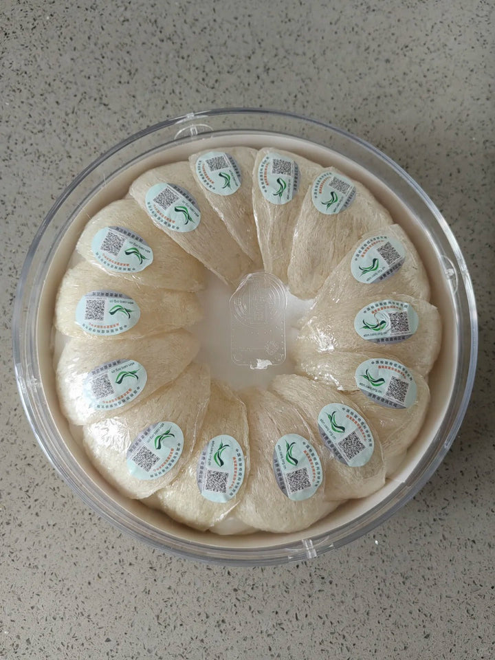 印尼白燕盏
