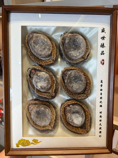 老南非网鲍