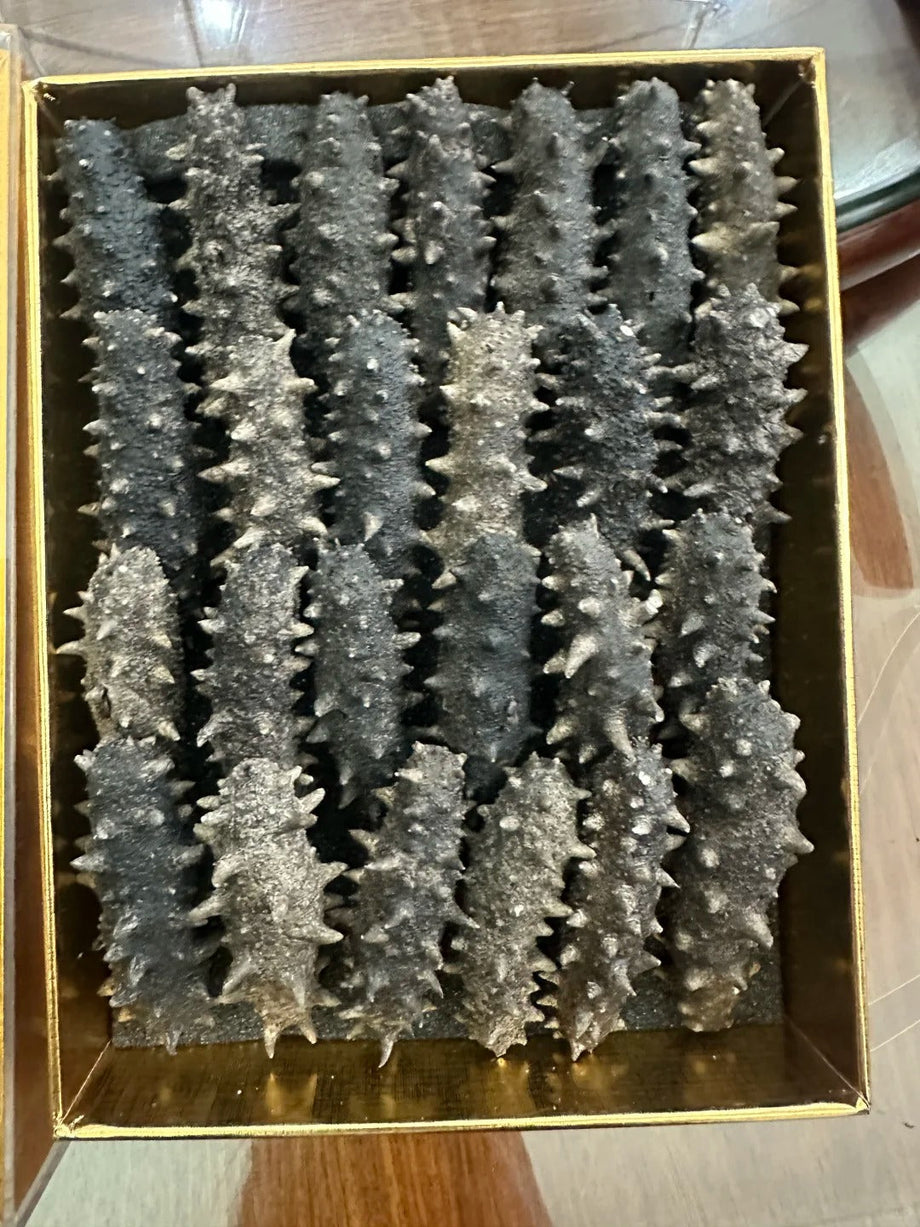 海參「筋」同「沙嘴」處理會唔會影響回收？乾參完整度檢查重點