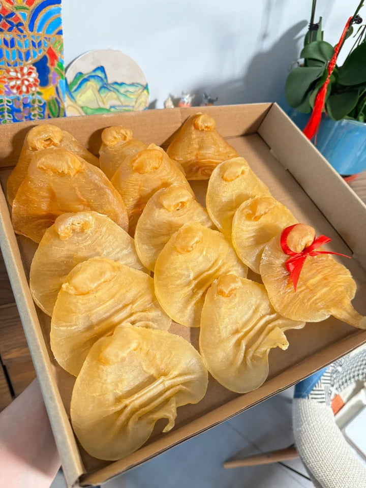 赤嘴膠