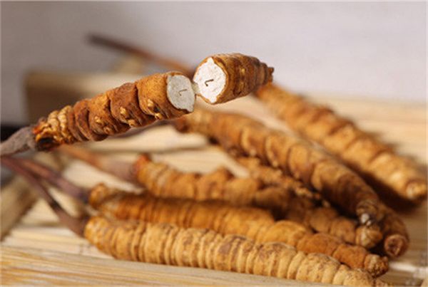 Nagqu Cordyceps Appraisal in Tuen Mun