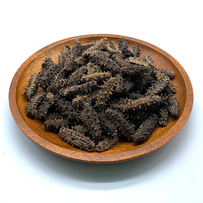 深度解密：懂得分辨「四排刺」的日本關東遼參，西貢區海味收藏家必看的回收指南