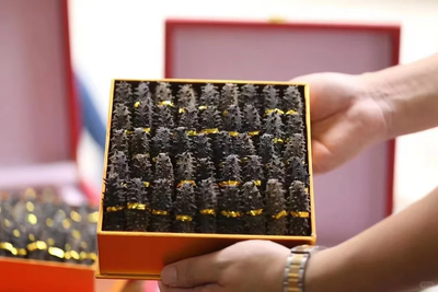 海參之王大對決：為何北海道遼參能賣到過萬港元？金海晟教您分辨頂級刺參與普通貨色