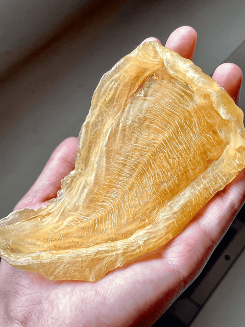 鐵罐裡的時光饋贈：九龍塘余太的珍藏老野生白花膠｜金海晟文章圖片