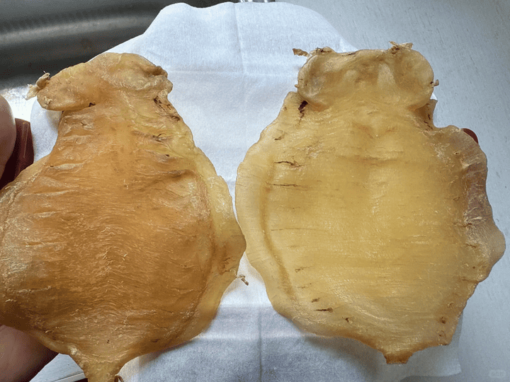 [Kam Hoi Shing Real Case] Mrs. Chan of Taikoo Shing's Top-Quality Fish Maw Sale Record, Professional Buyback Prevents Dried Seafood from Being Wasted