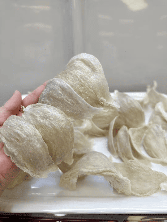 Anonymous Case Study: Indonesian White Bird's Nest in Taikoo Shing