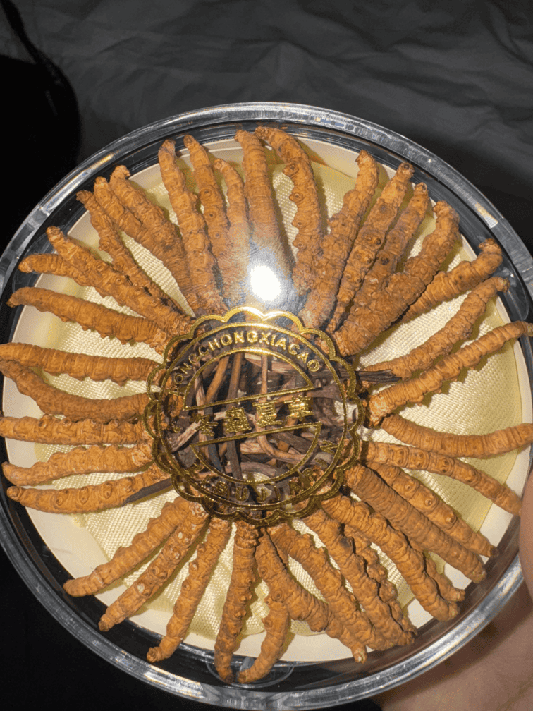 Anonymous Case Study: Premium Cordyceps in Kowloon