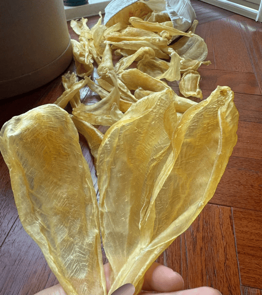 【金海晟回收案例】陳太的執屋驚喜：閒置十年的陳年花膠，原來係會升值的「黃金」？