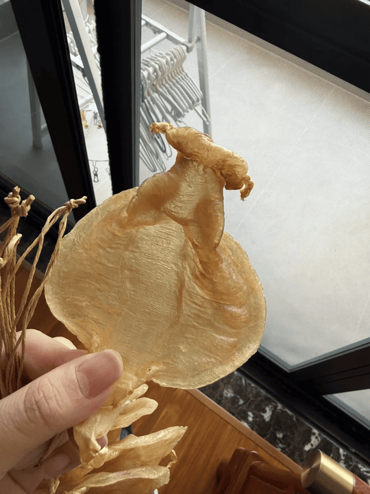 🌟【金海晟真實回收案例】櫃底閒置花膠大翻身！陳太的珍藏海味變現記