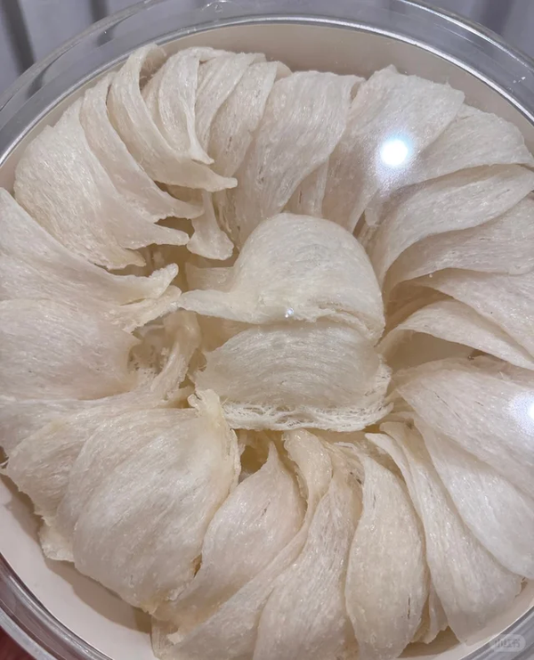 【金海晟真實回收案例】太古城陳太移民清櫃，珍藏花膠燕窩高價變現記