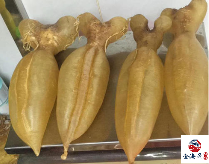 蜘蛛膠 收購花膠 回收蜘蛛膠 收蜘蛛膠 蜘蛛膠收購 香港收購蜘蛛膠 香港回收蜘蛛膠 澳門回收蜘蛛膠 澳門收購蜘蛛膠 收花膠