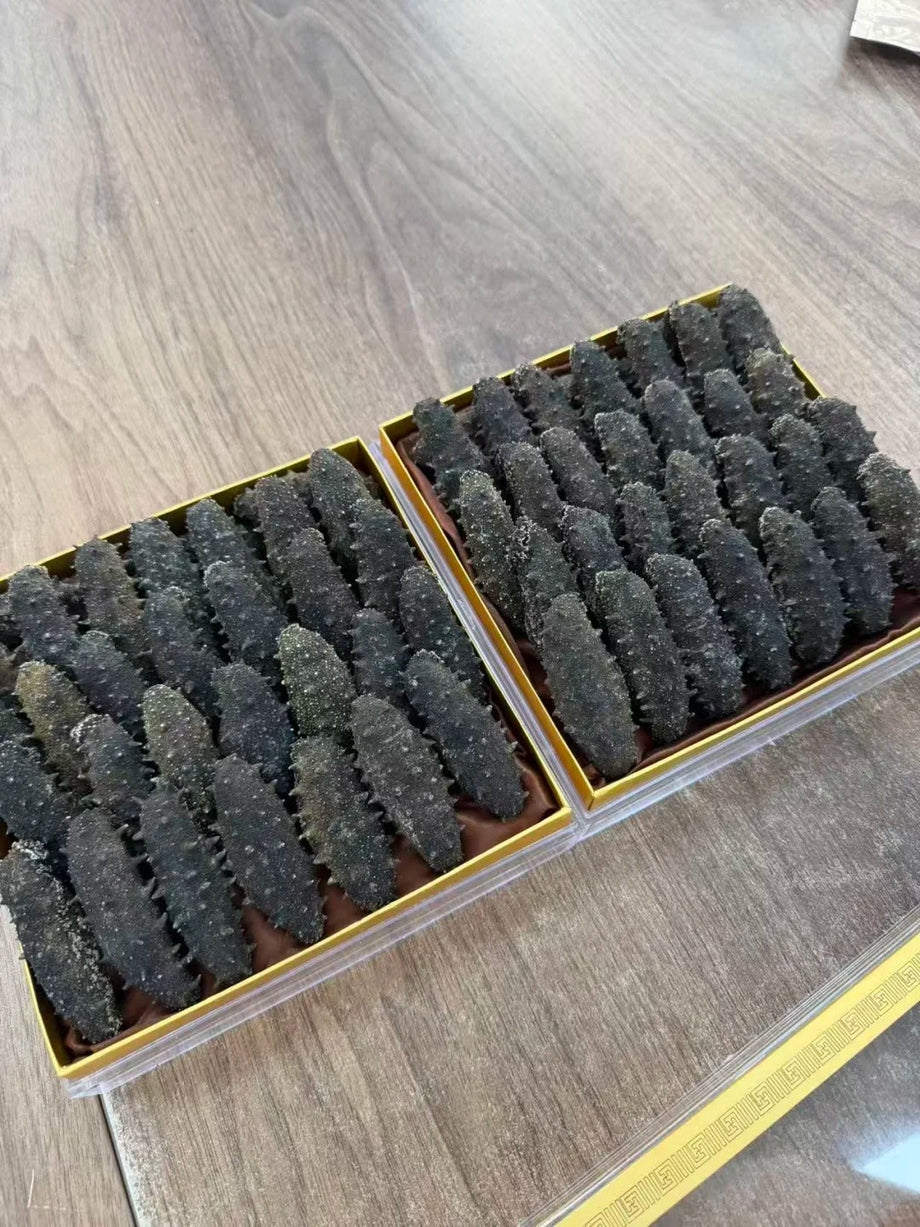 Soft or Oily-Smelling Sea Cucumber: 3 Checks Before Sale