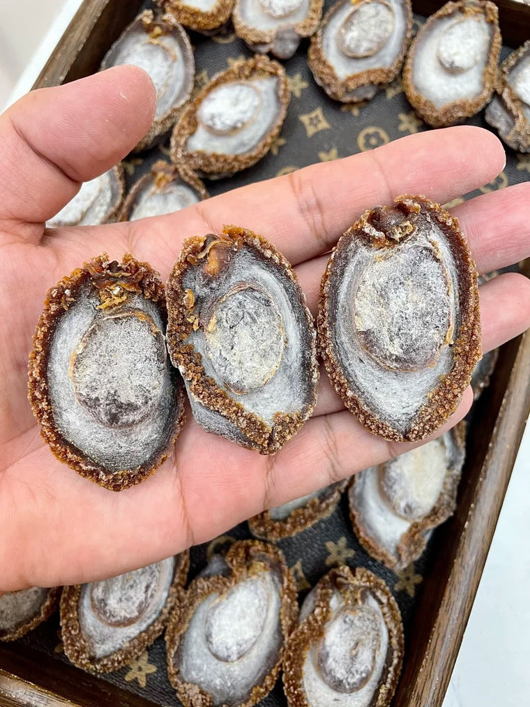 33头熊宽禾麻老鲍